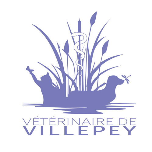 Vétérinaire de Villepey